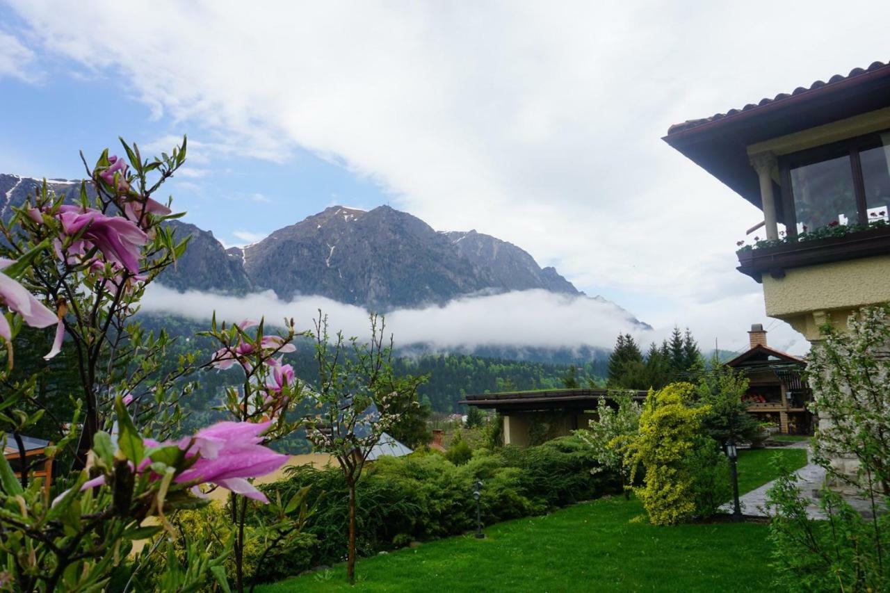 Vila Leonida - Resort Leonida บุชเตนี ภายนอก รูปภาพ